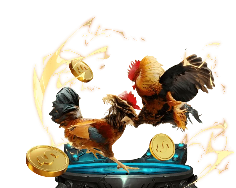 Tổng quan hướng dẫn cá cược